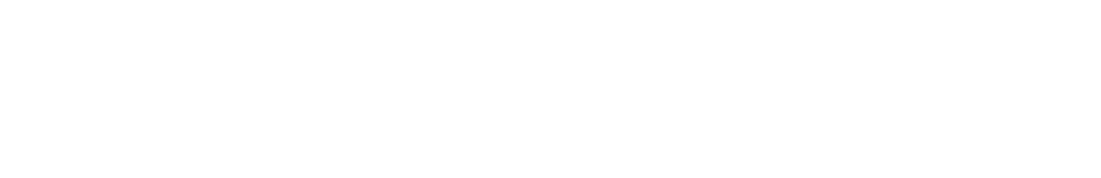 La Professionale logo